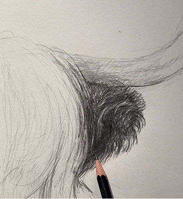 Lær at tegne dyr