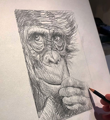 Lær at tegne dyr
